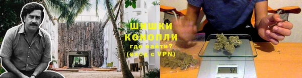 ПСИЛОЦИБИНОВЫЕ ГРИБЫ Белоозёрский