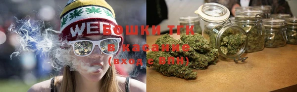 ПСИЛОЦИБИНОВЫЕ ГРИБЫ Белоозёрский