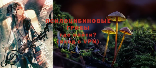ПСИЛОЦИБИНОВЫЕ ГРИБЫ Белоозёрский