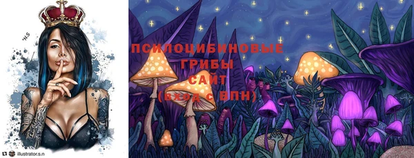стаф Беломорск
