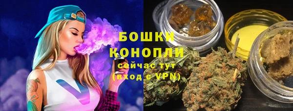 ПСИЛОЦИБИНОВЫЕ ГРИБЫ Белоозёрский