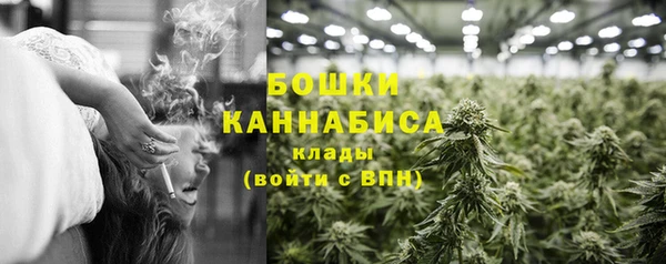 ПСИЛОЦИБИНОВЫЕ ГРИБЫ Белоозёрский