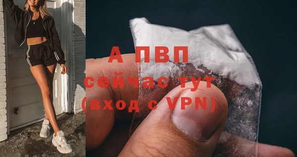 ПСИЛОЦИБИНОВЫЕ ГРИБЫ Белоозёрский